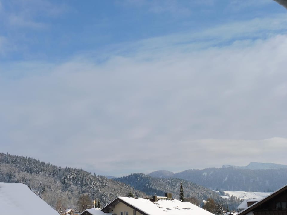 Grün und herzlich Apartment in Oberstaufen