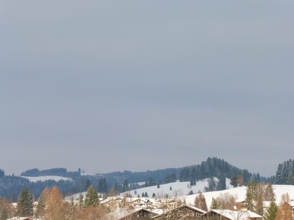 Grün und herzlich Apartment in Oberstaufen