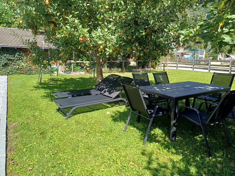Natural landscape, Garden, Dining area, sunbed