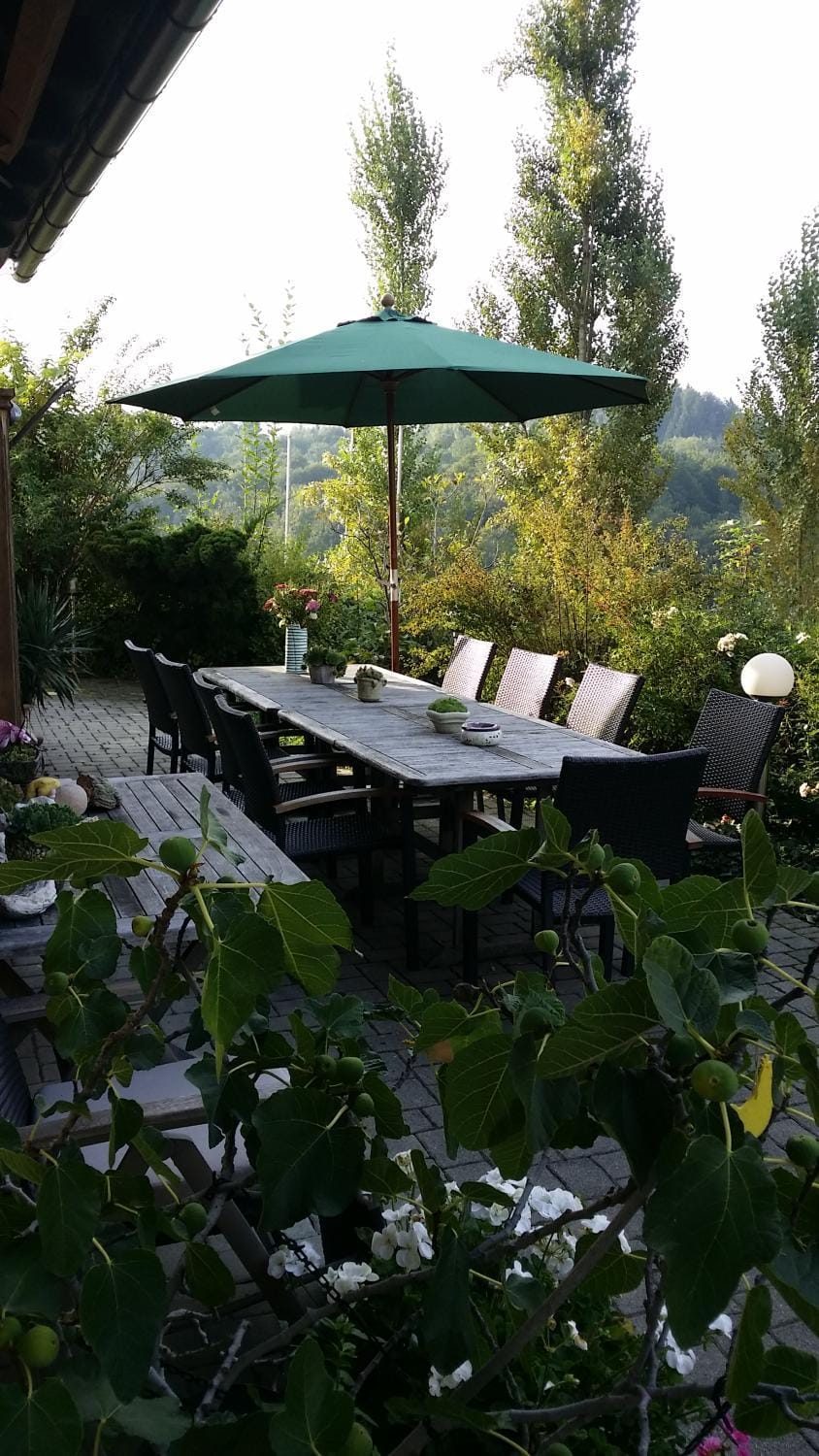 Patio, Seating area, Dining area, Garden view