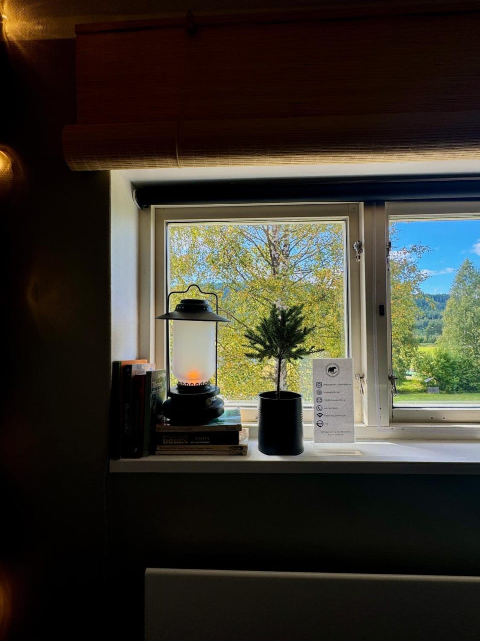View (from property/room)