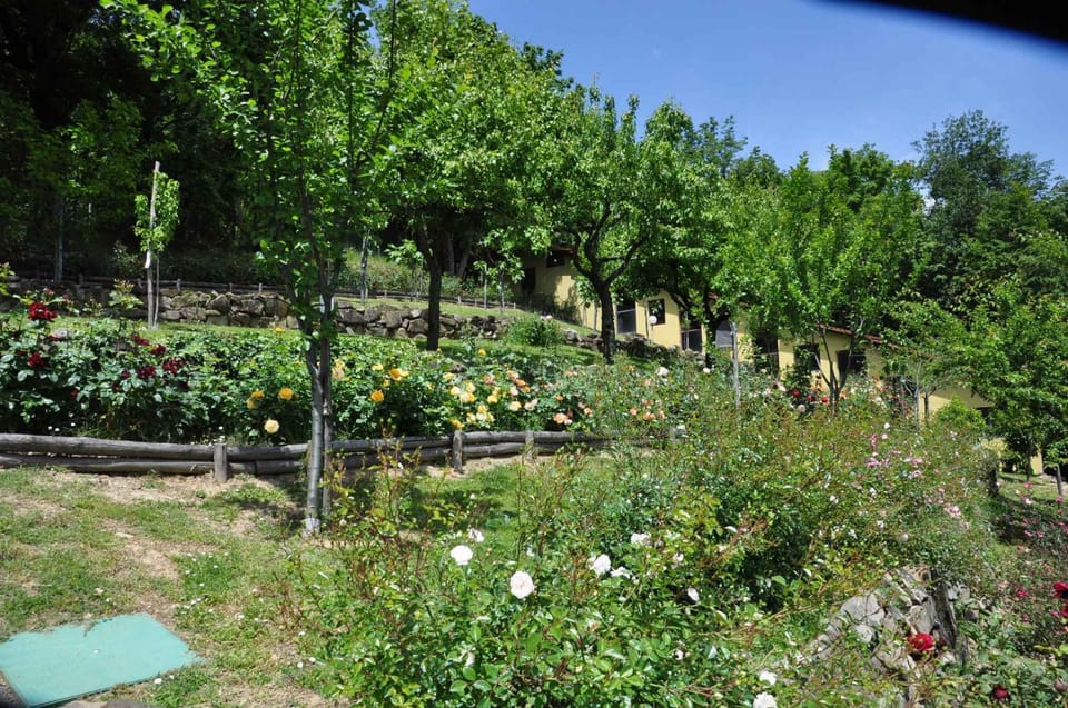 Natural landscape, Summer