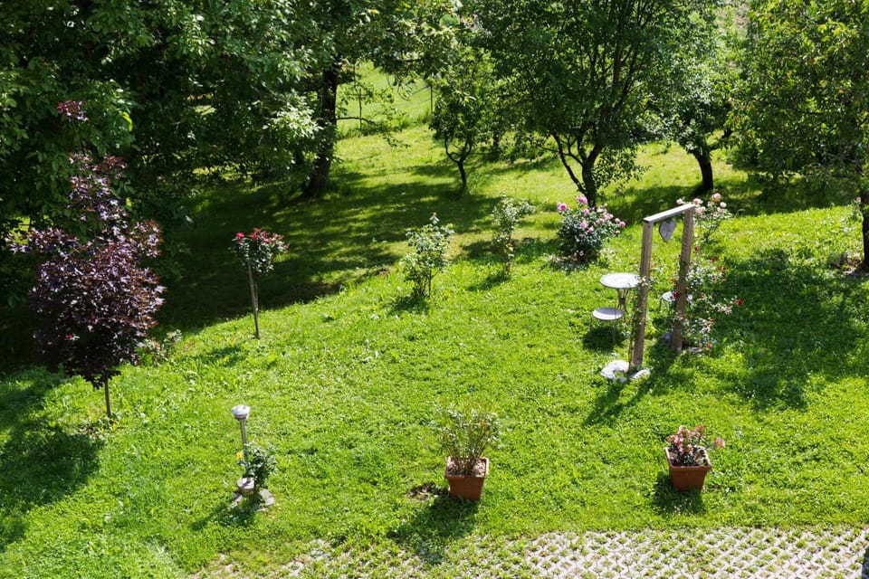 Natural landscape, Garden view