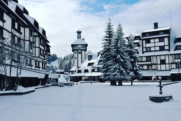 Property building, Winter