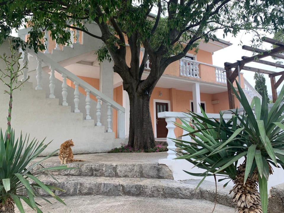 Apartmani Spomenka Apartment in Seline