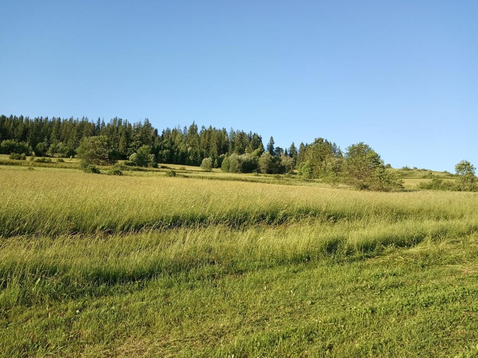 Natural landscape