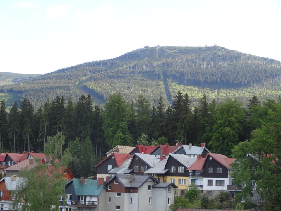 Neighbourhood, Mountain view