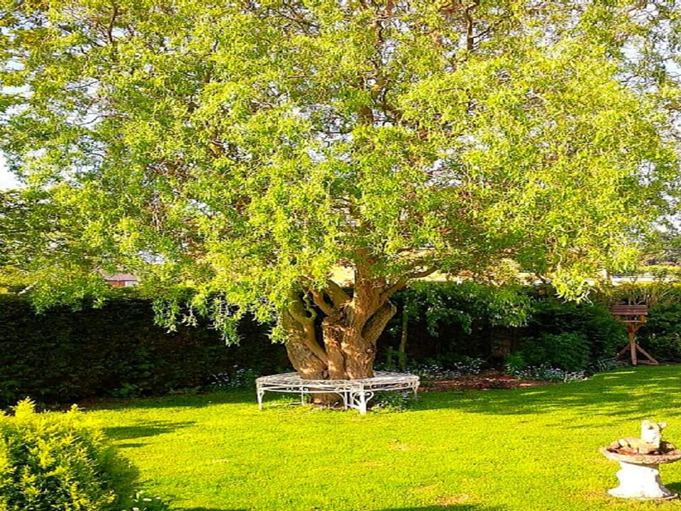 Garden, Garden view