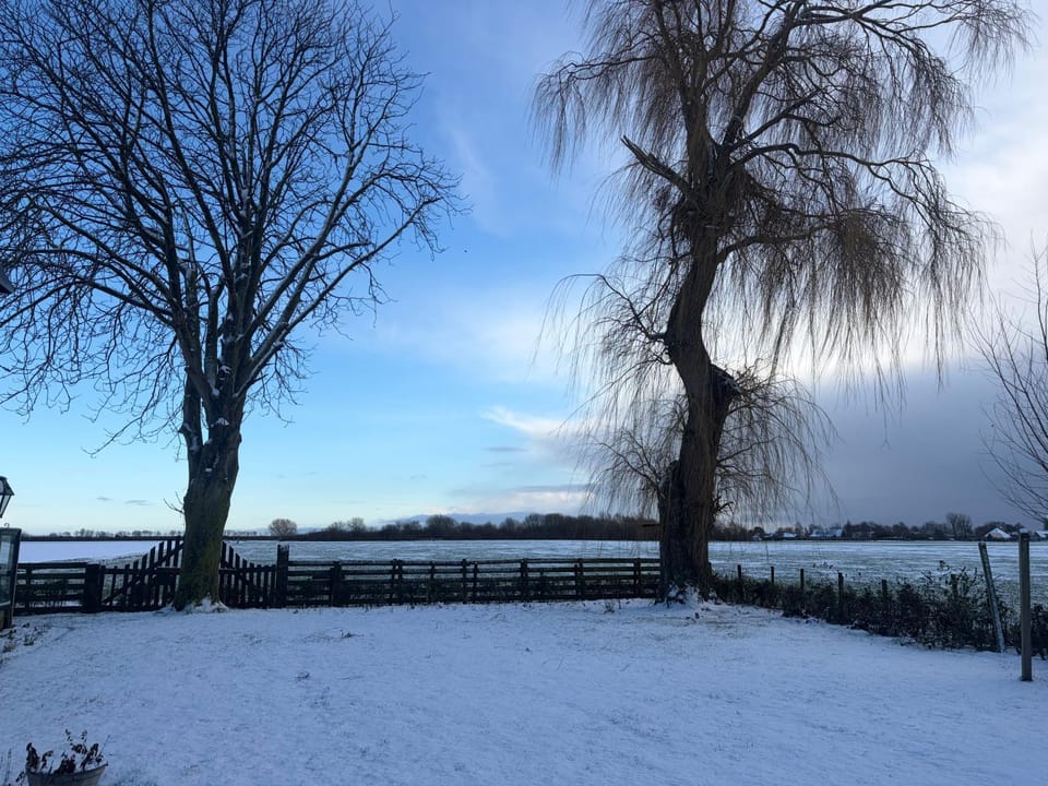 Day, Natural landscape, Winter