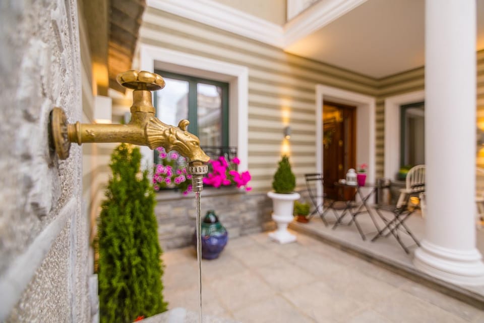 Patio, Garden