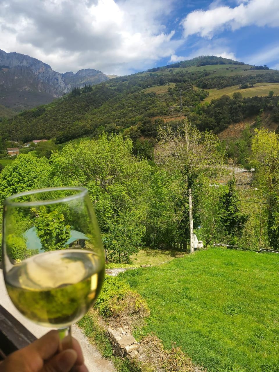 View (from property/room)