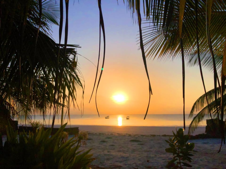 Beach, Sunrise