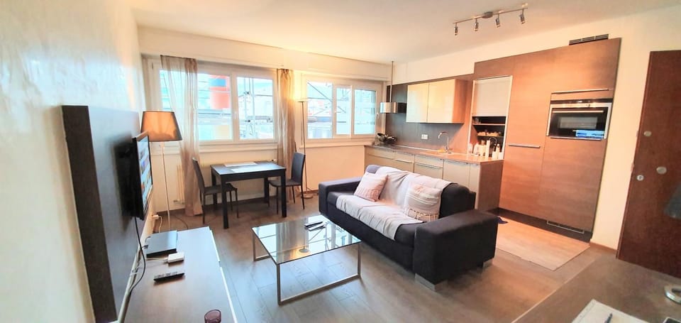 EV55 Apartment in Geneva