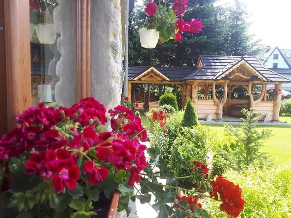 Patio, Garden