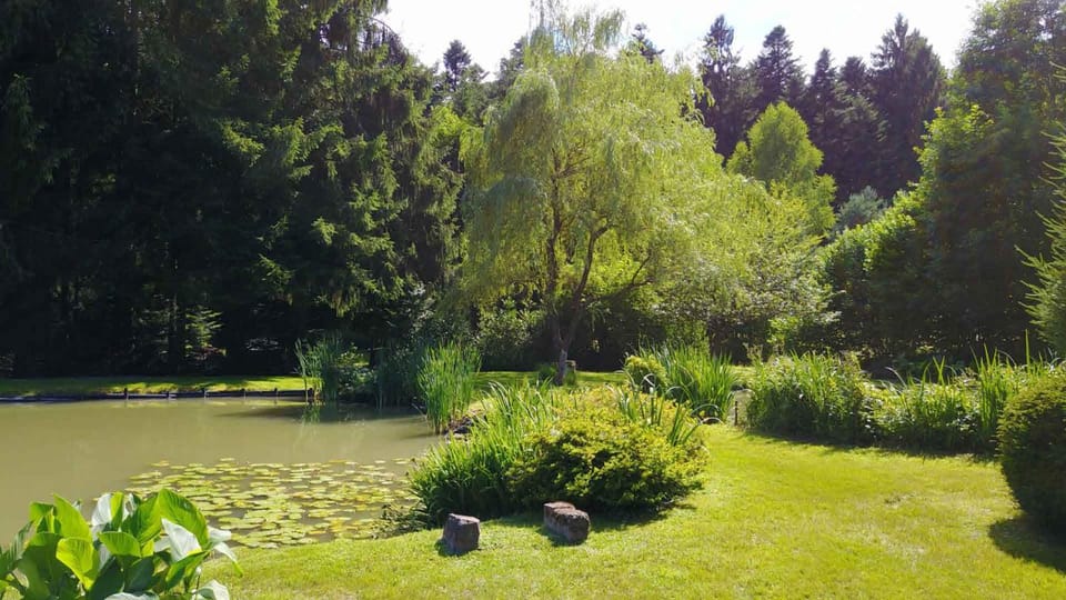 Garden, Lake view