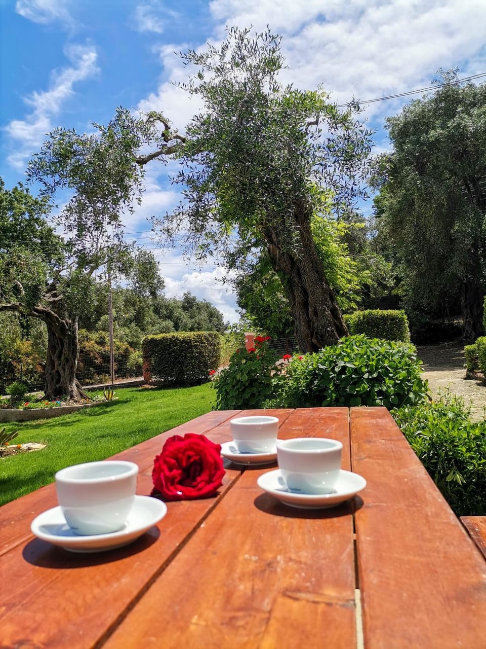 Patio, Spring, Garden, Dining area, Garden view