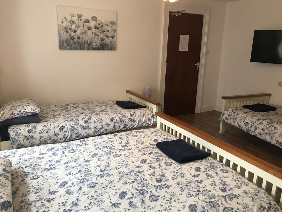 Abbey Lodge Guest House Bed and Breakfast in Southampton