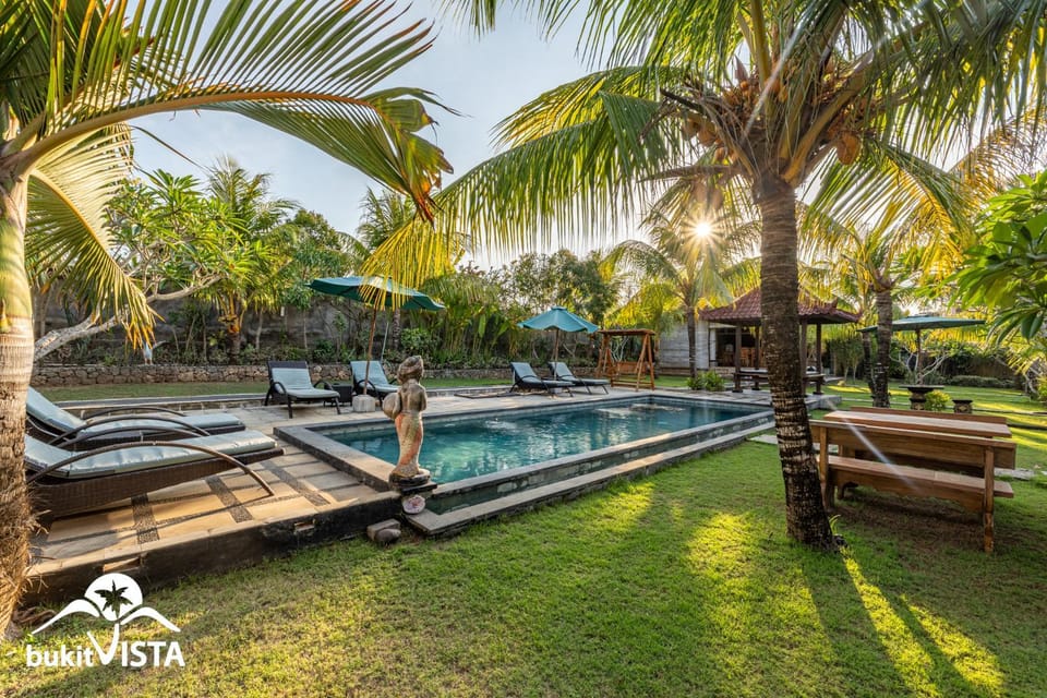 Day, Garden, Swimming pool, sunbed