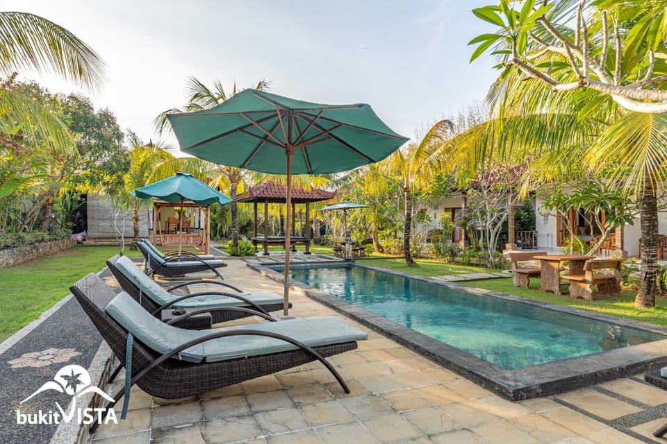 Spring, Garden, Garden view, Swimming pool, sunbed