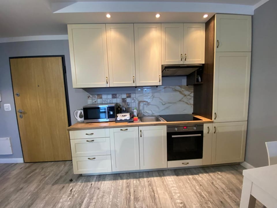 Kitchen or kitchenette, dishwasher, oven, stove
