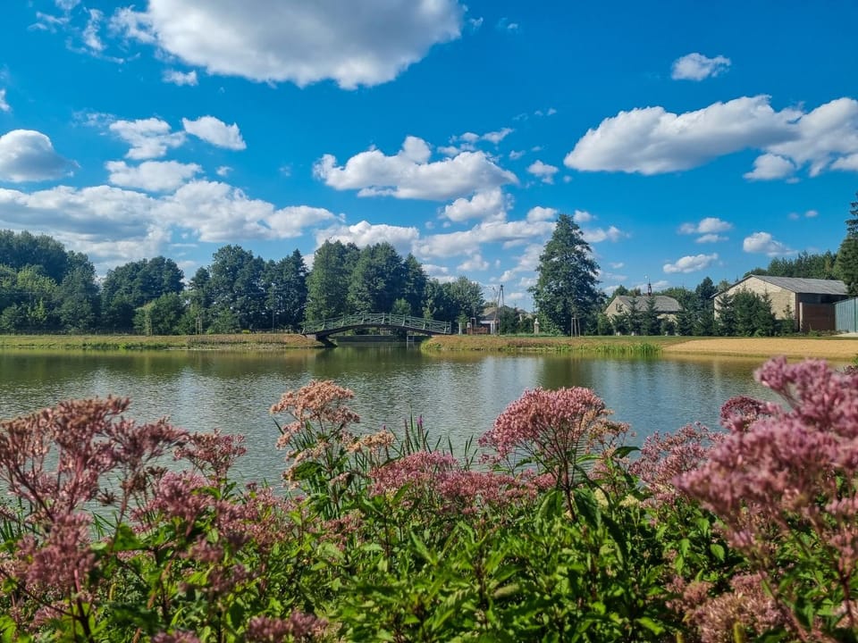 River view
