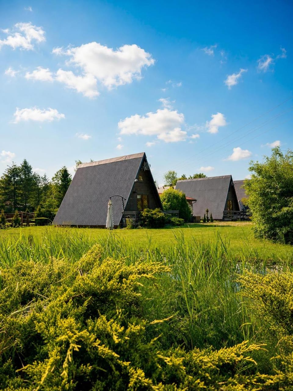 Property building, Garden, Garden