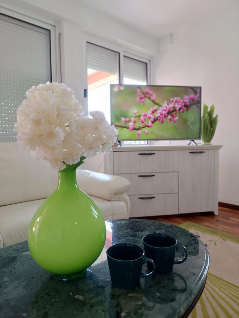 TV and multimedia