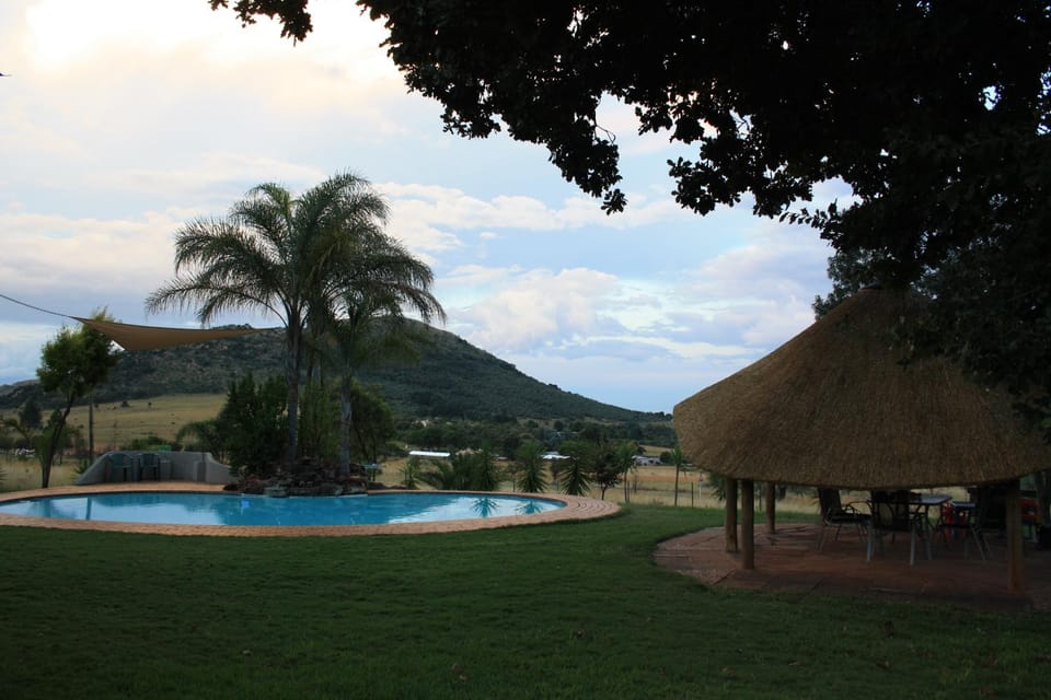 Natural landscape, Garden, Garden view, Pool view, Swimming pool, sunbed