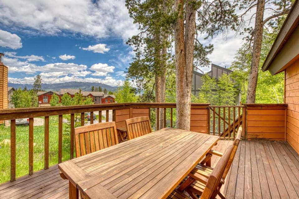 Blue River Rendezvous House in Wildernest