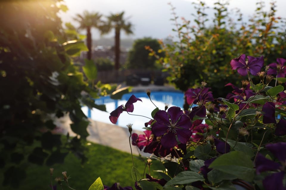 Garden, Swimming pool