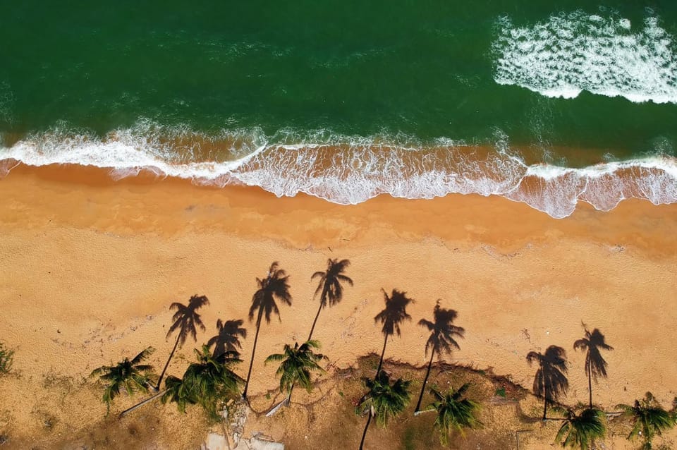 Beach, Beach