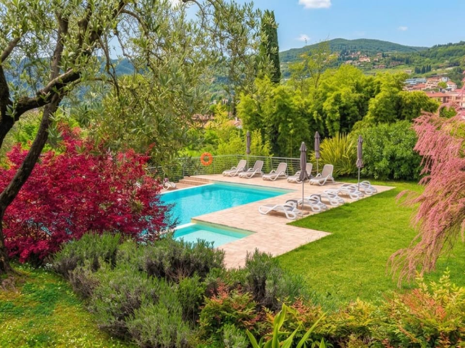 Day, Garden, Swimming pool