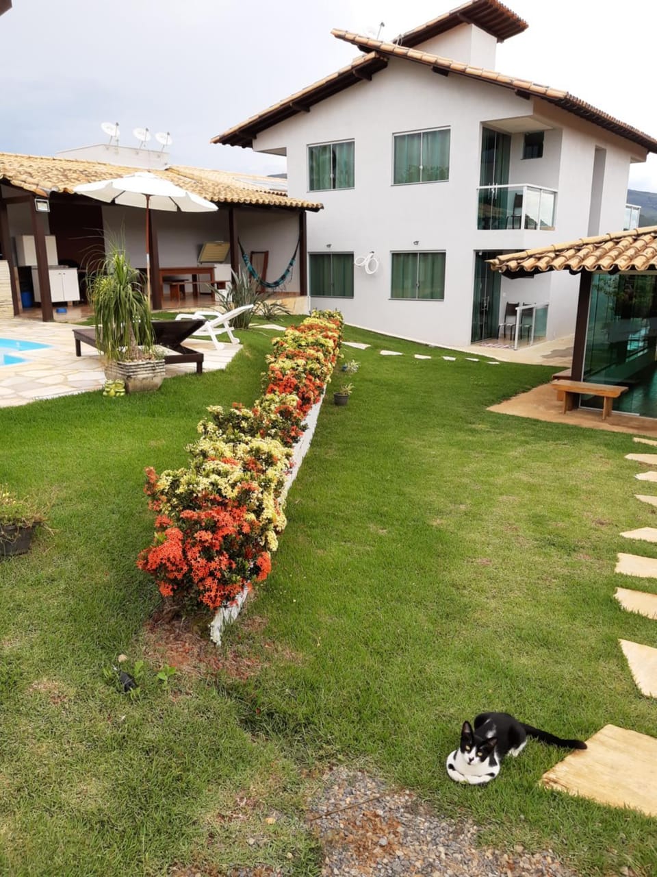 Pets, Garden view
