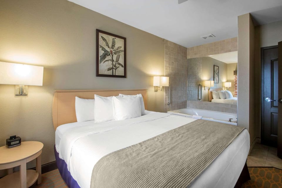 Bed, Photo of the whole room, Bedroom, On site