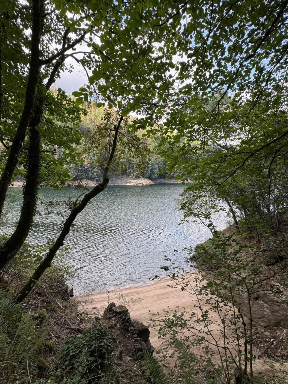Natural landscape, Beach, River view