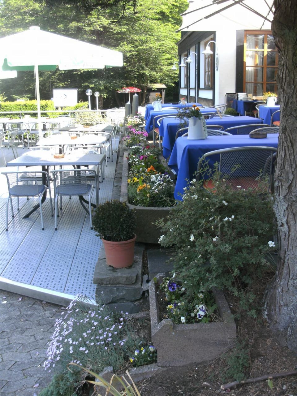 Restaurant/places to eat, Spring