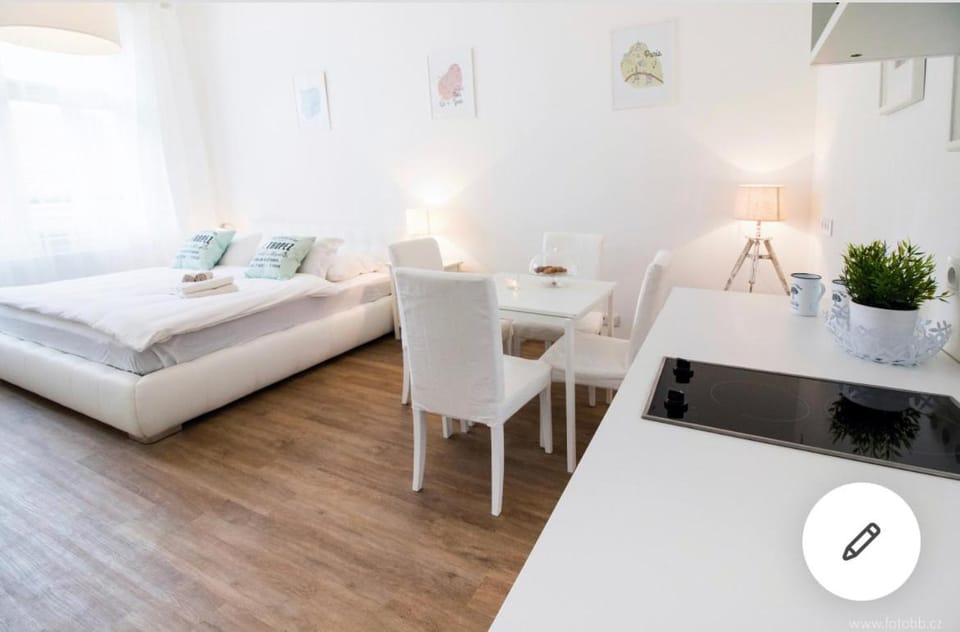 Romantic Apartment Petra - free parking Friday-Sunday Apartment in Prague