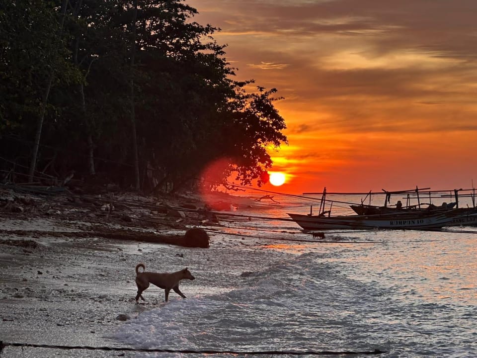 Kambuna Bungalow Hotel in Indonesia