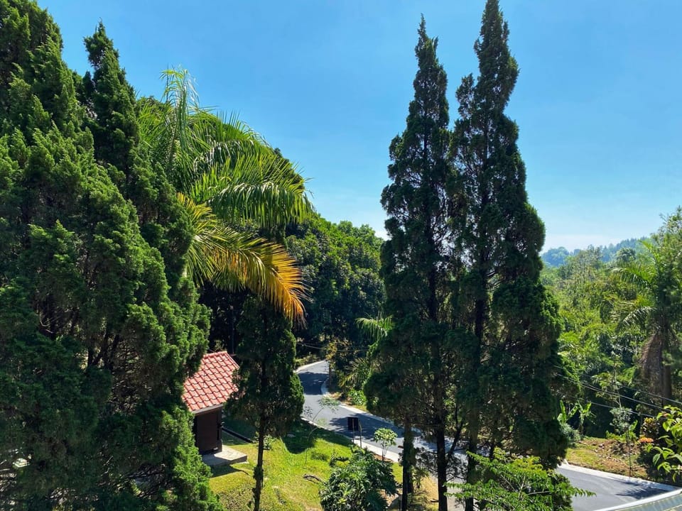 Neighbourhood