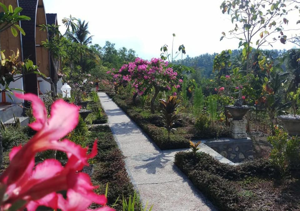 Garden, Balcony/Terrace