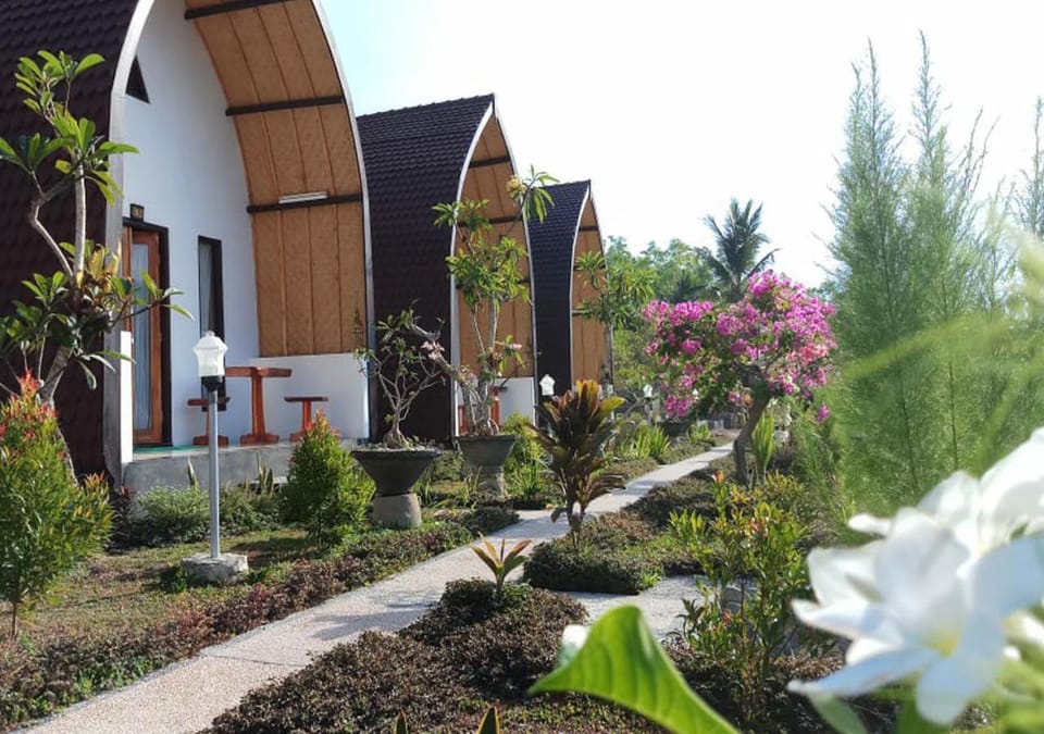 Garden, Balcony/Terrace
