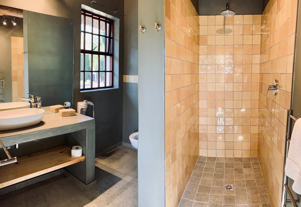 Shower, Toilet