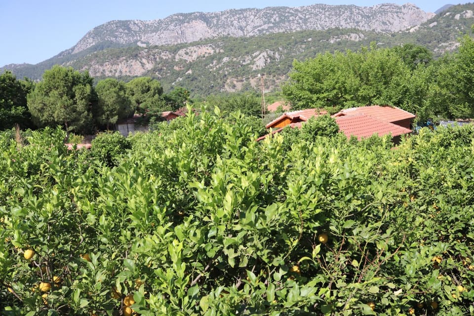 Natural landscape