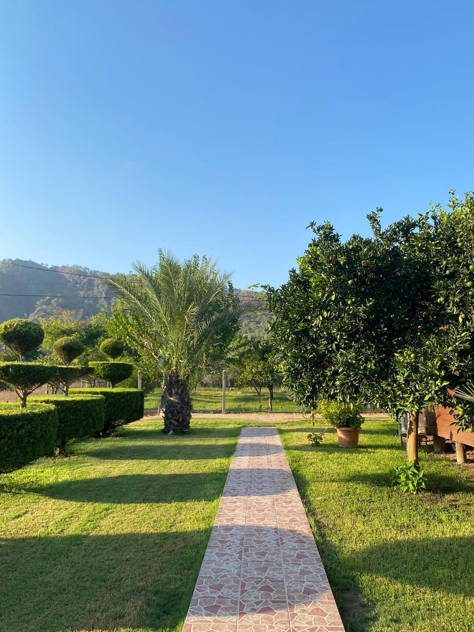 Garden