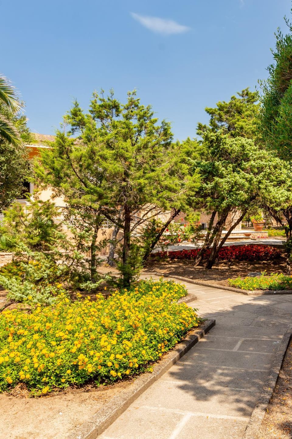 Garden view