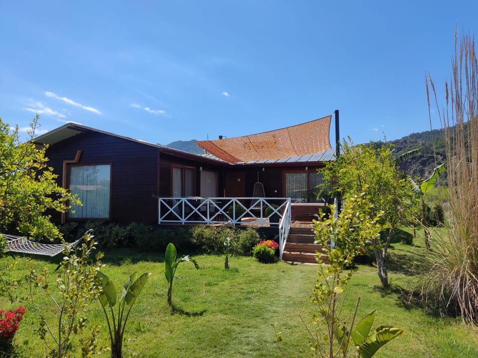 Spring, Day, Garden, Garden view
