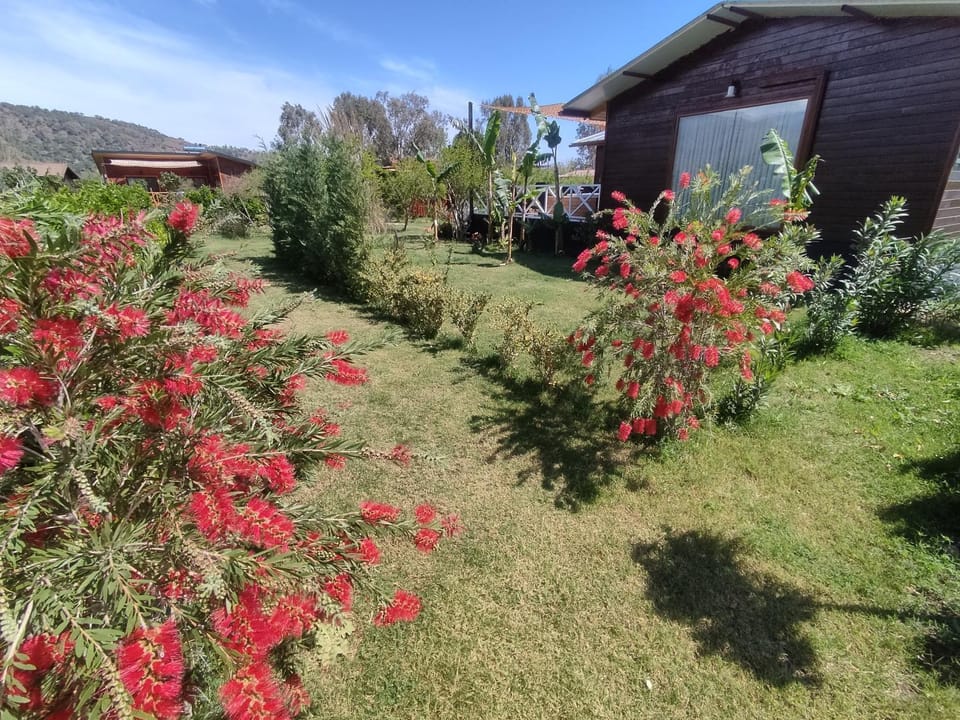 Garden, Garden view, Mountain view