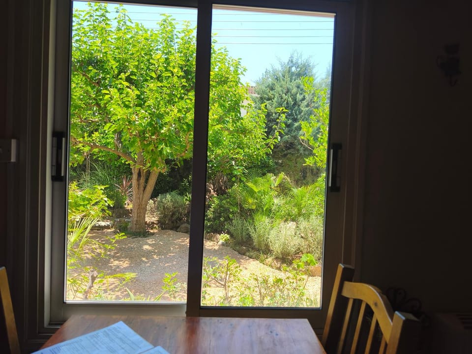 Garden view