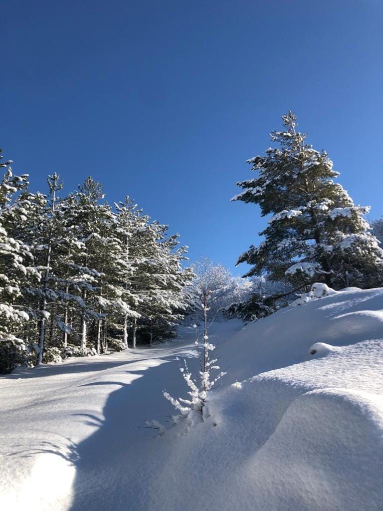 Natural landscape, Winter, Hiking