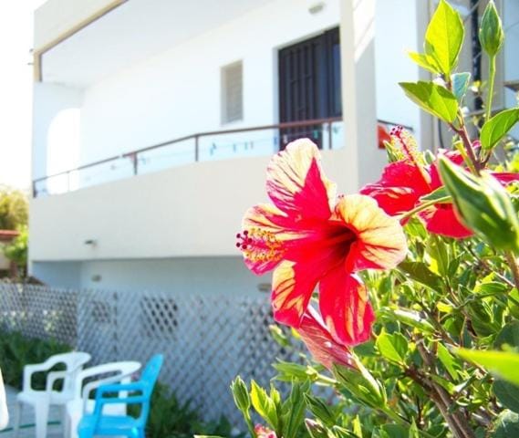 Facade/entrance, Balcony/Terrace